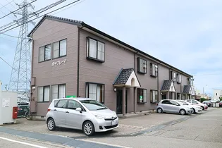 ポップレーアの画像