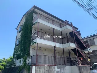 フェリシアの画像