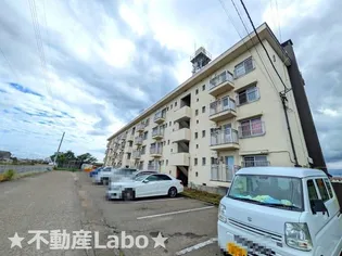 徳島県板野郡松茂町笹木野字北上【マンション】の外観