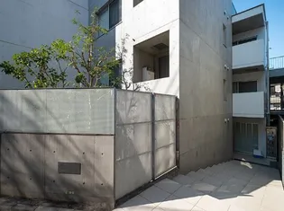 サンチャリーフの画像