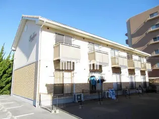 カルディアの画像