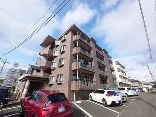 ピアレスの画像