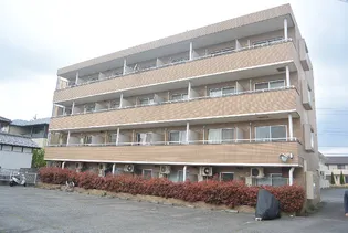 ステータスヒル花畑の画像