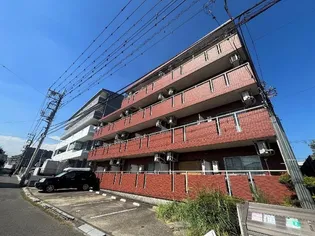 オプストヨミノの画像