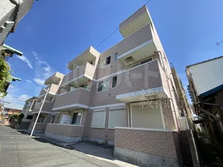 SETTER RIDGEの画像