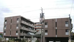 ベルデ森孝の画像