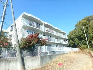 ファミーユ安座の画像