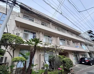 東ヶ丘ハイツ【1階】の外観