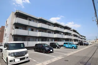 岡山県岡山市北区青江4【マンション】の外観