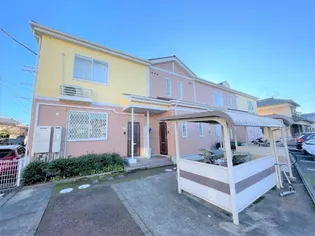 プリムローズの画像