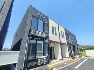 シャイントラストの画像