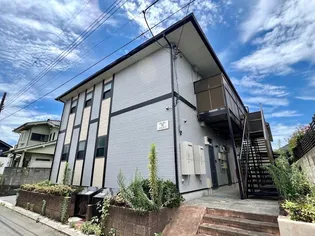 ノルデンの画像