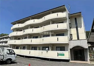 レインボウの画像