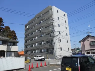 ハイパー桜の画像