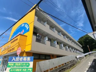 茨城県日立市東成沢町2【アパート】の外観