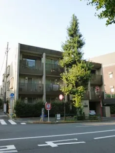 東京都文京区関口3【マンション】の外観