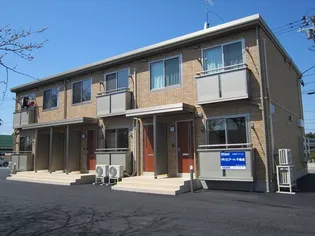 モーニンググローリーの画像