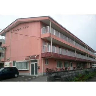 リバイタルハイツ【2階】の外観