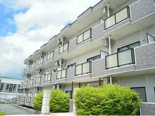 パレ ミレニアムの画像