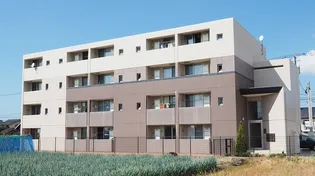 フラン アンジュの画像