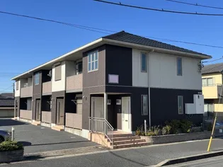 トゥインクル桜の画像