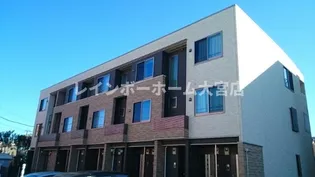 アンジュールの画像