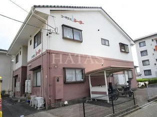 コーポラスシーダーの画像