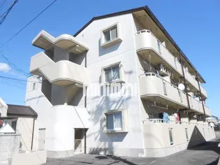 SUN MATEの画像