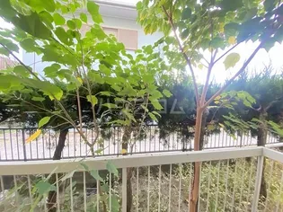 稲荷森マンション【1階】のその他画像