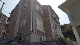 ヒラルダの画像