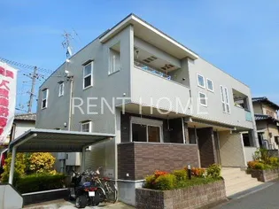 パライソの画像