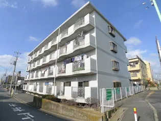 シャトレー三郷【4階】の外観