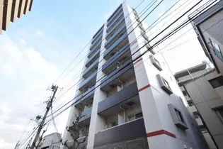 ミリアビタNO 15の画像