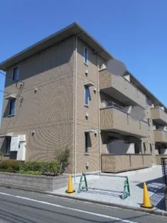 オリーブの画像