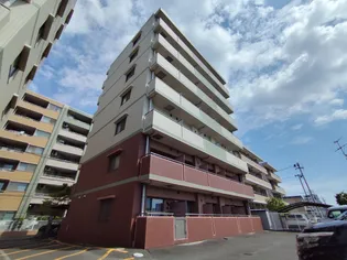 サンヴァーリオ新田駅前Ⅱの画像