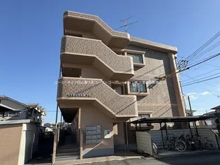 CIRUELA須屋の画像