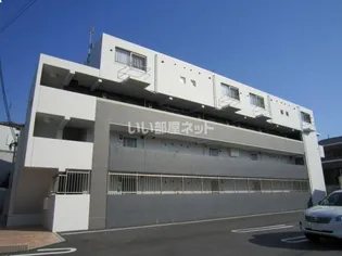 キーウィの画像