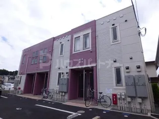 MILD SPRINGSの画像