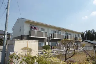 アクティブYの画像