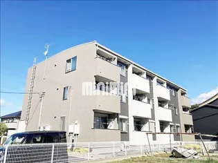 グリシーナの画像