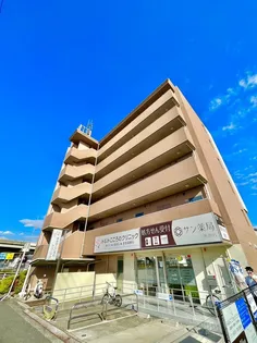 スカイビュ-宝泉の外観