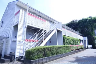 ヴィレッタの画像
