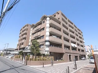 パールメガリスの画像