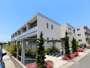 ヴァン リジェルの画像