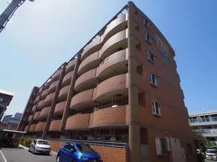 エテルノ フィオーレの画像