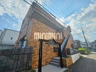 サンテラスパームの画像