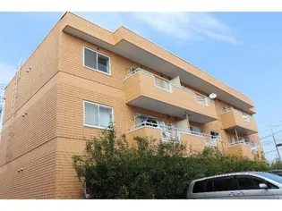 サンフラワーIの画像