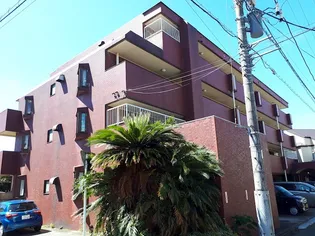 サンパレス綱島の画像