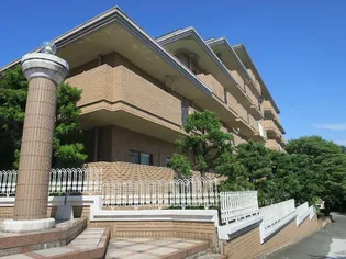 ファミール黒髪の画像