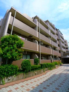 レクセルマンション西新井の画像
